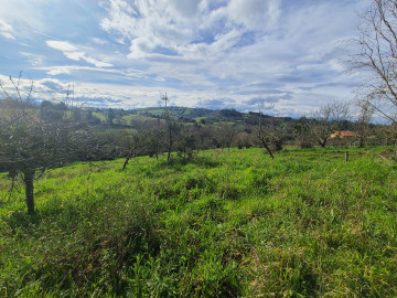 Fincas y solares-Venta-Siero-1700622-Foto-1-Carrousel