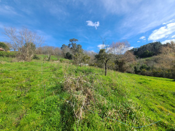 Fincas y solares-Venta-Siero-1700622-Foto-20-Carrousel