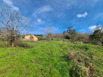 Fincas y solares-Venta-Siero-1700622-Foto-22-Carrousel