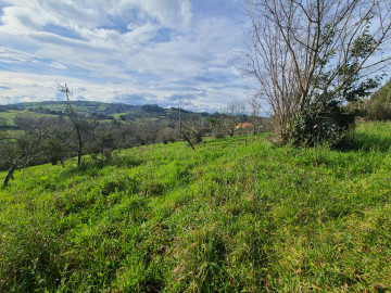 Fincas y solares-Venta-Siero-1700622-Foto-19-Carrousel