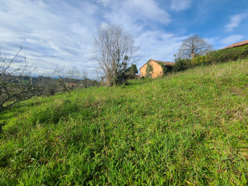 Fincas y solares-Venta-Siero-1700622-Foto-15-Carrousel