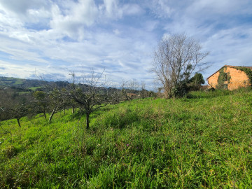 Fincas y solares-Venta-Siero-1700622-Foto-17-Carrousel