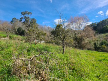Fincas y solares-Venta-Siero-1700622-Foto-21-Carrousel