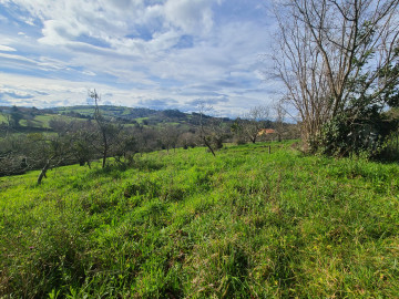 Fincas y solares-Venta-Siero-1700622-Foto-18-Carrousel