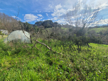 Fincas y solares-Venta-Siero-1700622-Foto-13-Carrousel