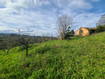 Fincas y solares-Venta-Siero-1700622-Foto-16-Carrousel