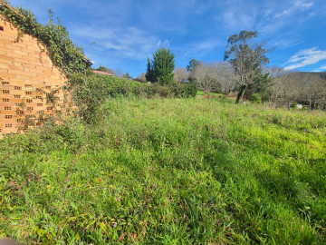 Fincas y solares-Venta-Siero-1700622-Foto-7-Carrousel