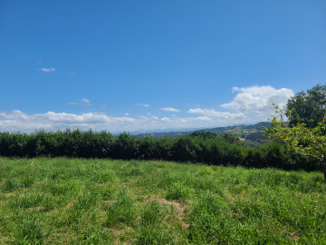 Fincas y solares-Venta-Gijón-1793207-Foto-8-Carrousel