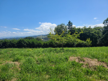 Fincas y solares-Venta-Gijón-1793207-Foto-9-Carrousel