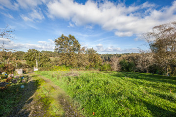 Casas o chalets-Venta-GijÃ³n-1021614-Foto-3-Carrousel