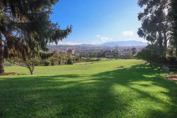 Vista de Oviedo desde la finca