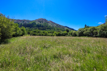 Fincas y solares-Venta-Cangas de OnÃ­s-703862-Foto-7-Carrousel