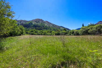 Fincas y solares-Venta-Cangas de OnÃ­s-703862-Foto-8-Carrousel