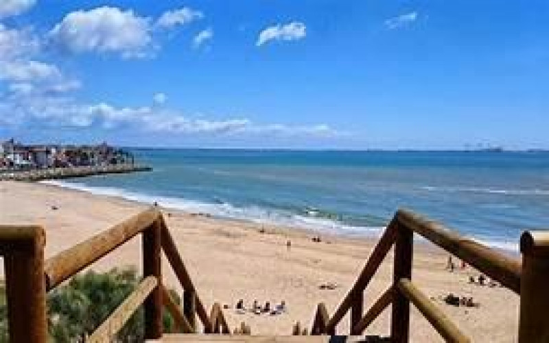 Fincas y solares-Venta-El Puerto de Santa MarÃ­a-1395323-Foto-8