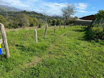 Fincas y solares-Venta-PiloÃ±a-1420570-Foto-10-Carrousel