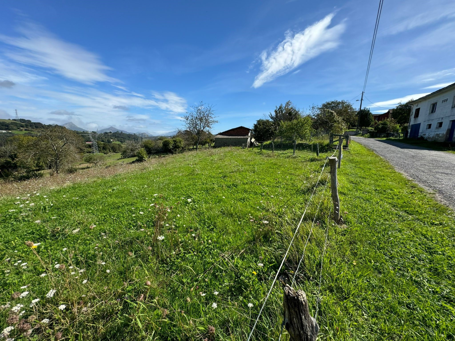 Fincas y solares-Venta-PiloÃ±a-1420570-Foto-7