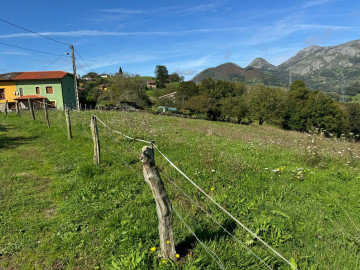 Fincas y solares-Venta-PiloÃ±a-1420570-Foto-11-Carrousel