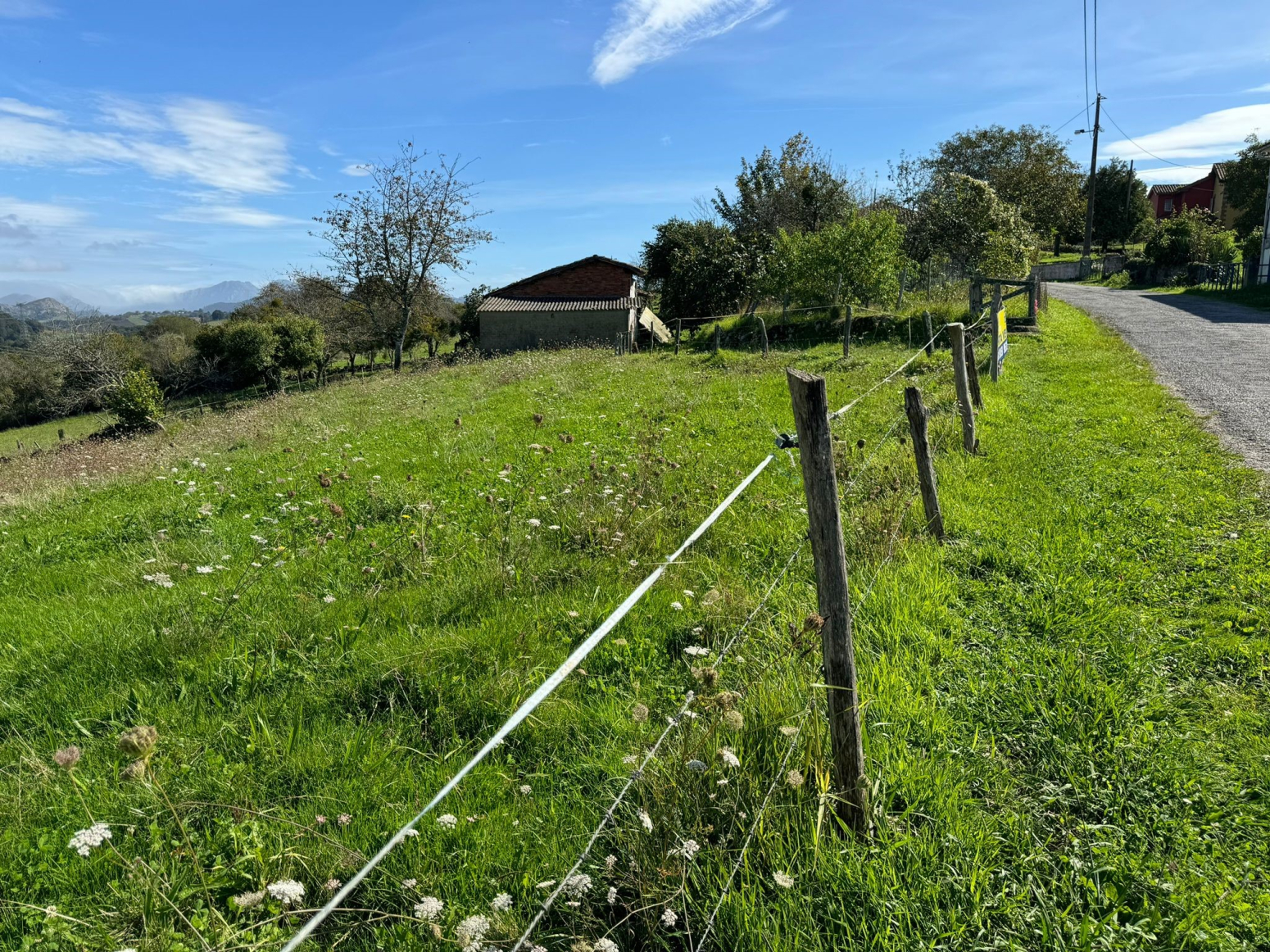 Fincas y solares-Venta-PiloÃ±a-1420570-Foto-9