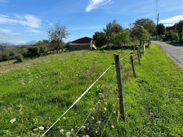 Fincas y solares-Venta-PiloÃ±a-1420570-Foto-8-Carrousel