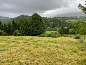 Fincas y solares-Venta-PiloÃ±a-558878-Foto-10-Carrousel