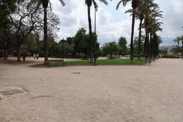 Foto 19