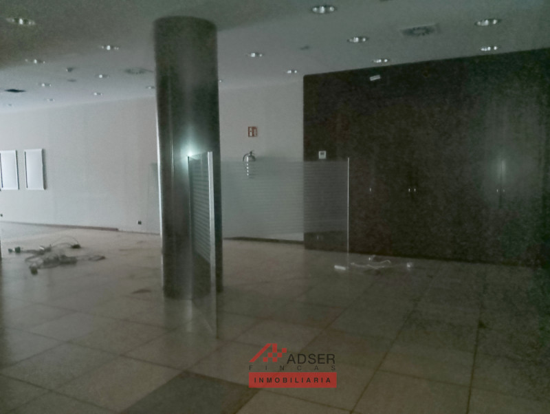 Imagen 5