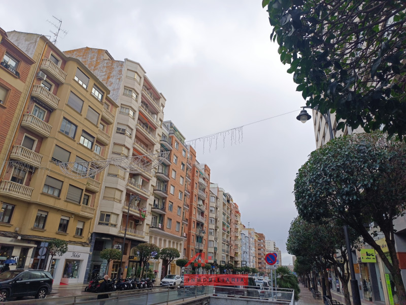 Imagen 28