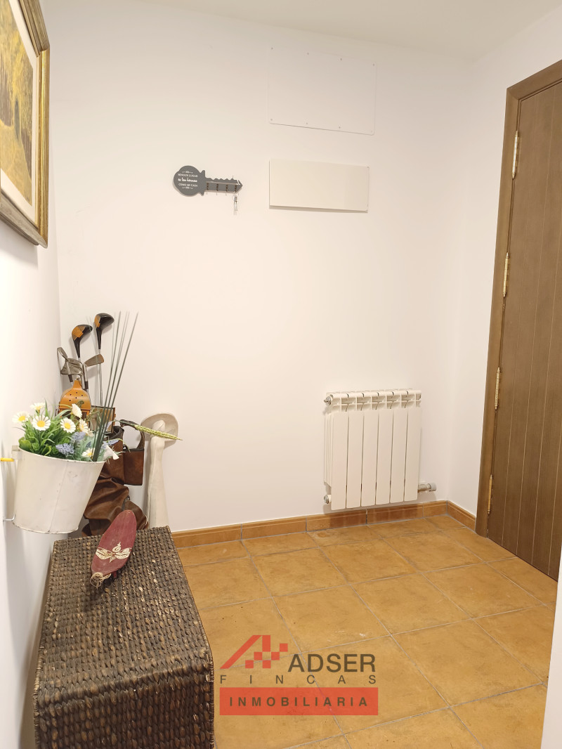 Imagen 16