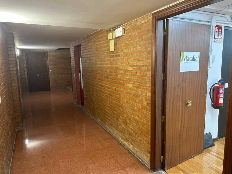 Imagen 8