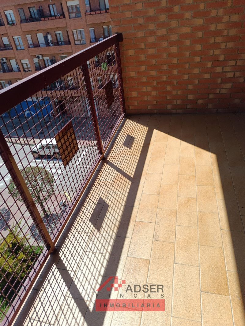 Imagen 15