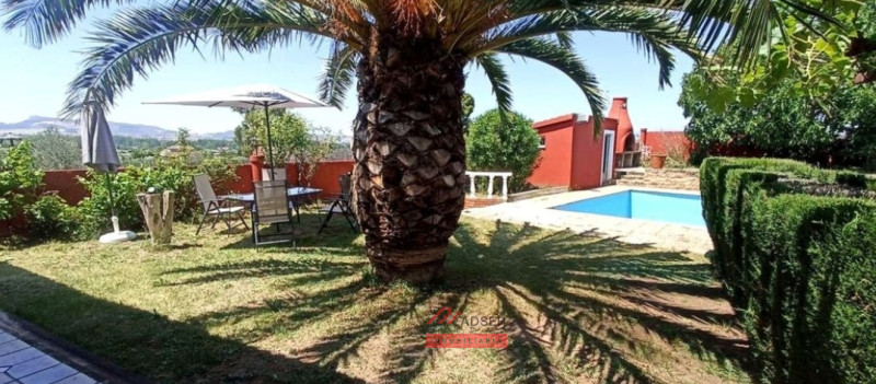 Imagen 6