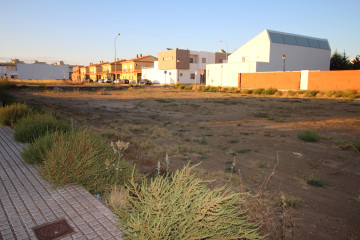 Fincas y solares-Venta-Montijo-2072667-Foto-16-Carrousel