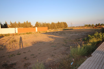 Fincas y solares-Venta-Montijo-2072667-Foto-9-Carrousel