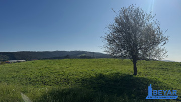 Vistas