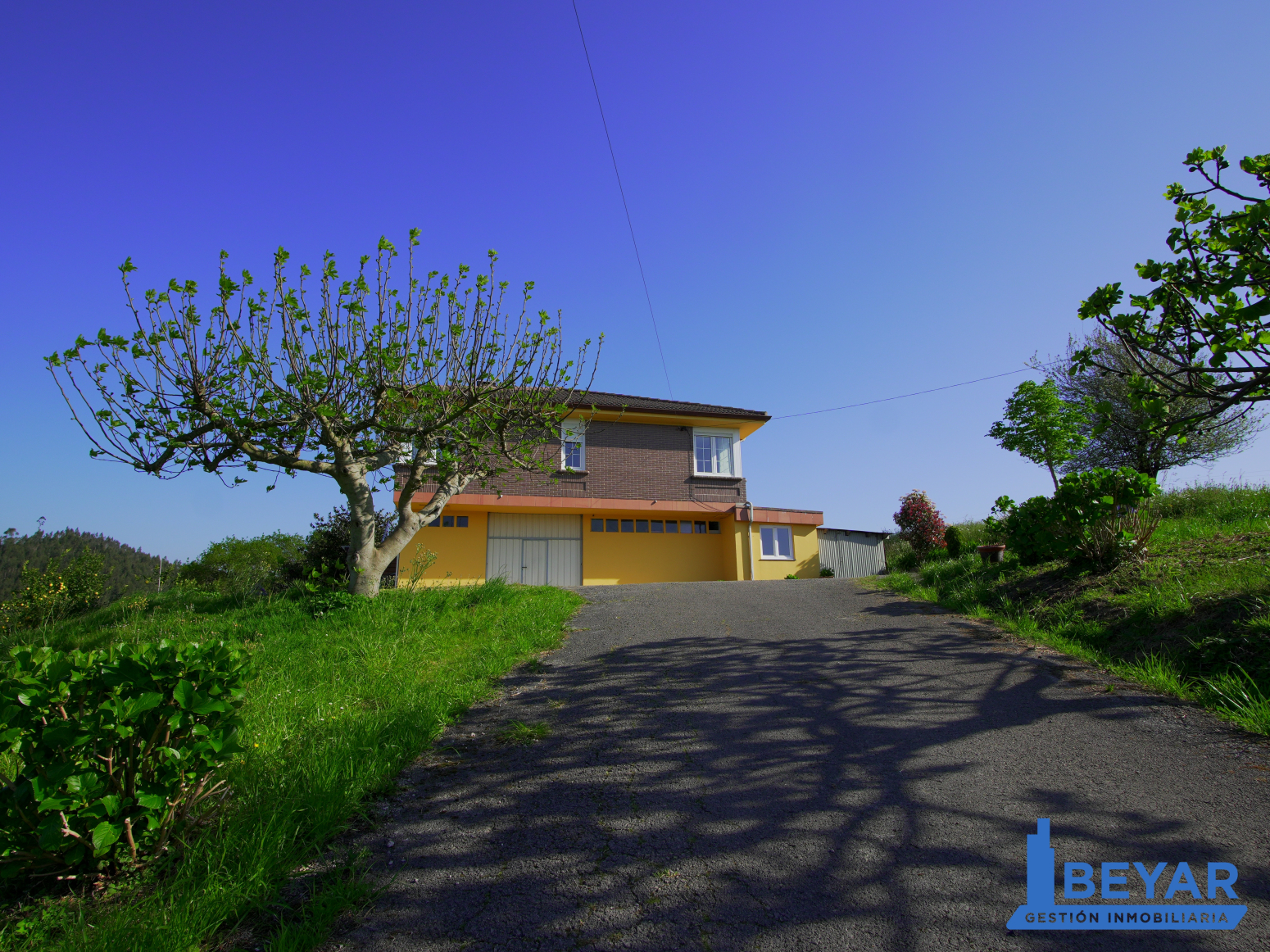Casas o chalets-Venta-PiÃ©lagos-1710087-Foto-7