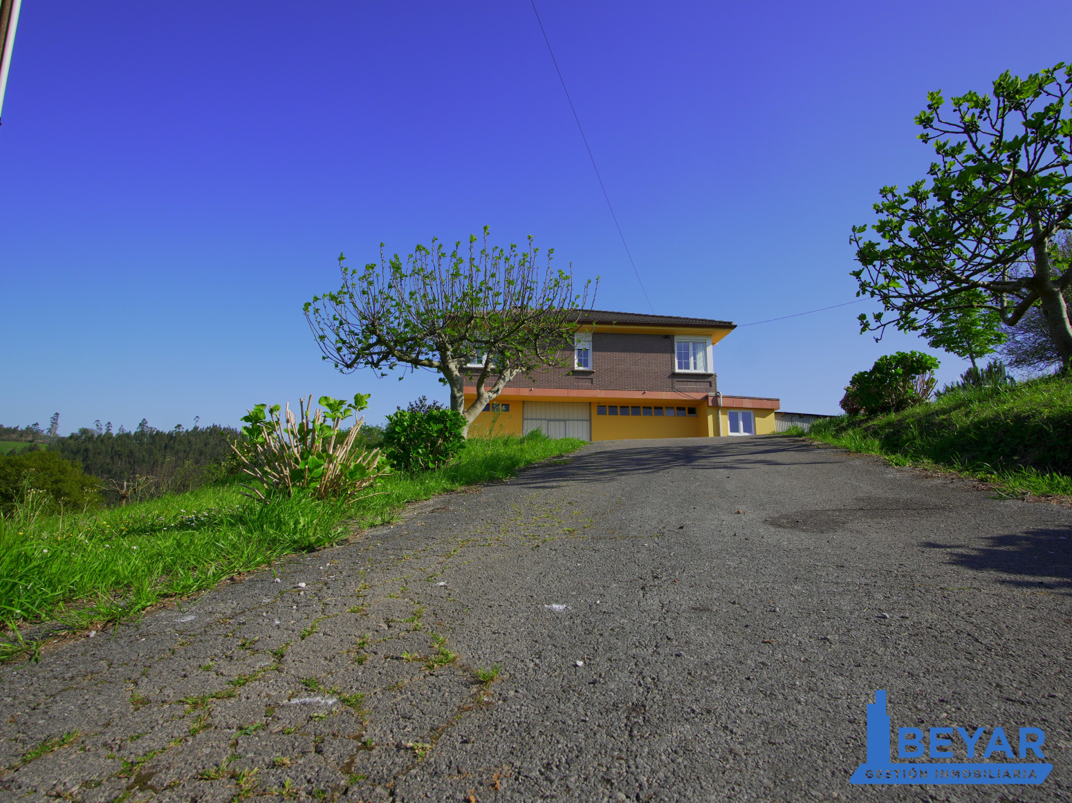 Casas o chalets-Venta-PiÃ©lagos-1710087-Foto-15