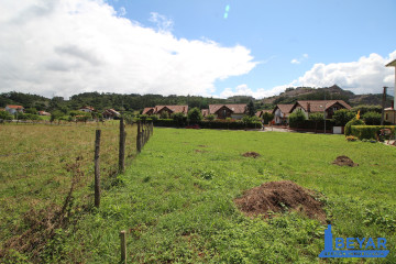 Jardín