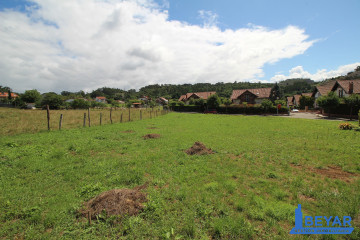 Jardín