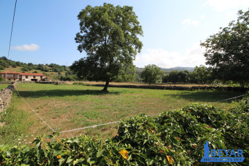 Fincas y solares-Venta-Arenas de Iguña-2363178