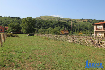 Jardín