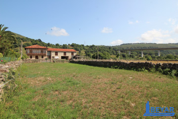 Jardín
