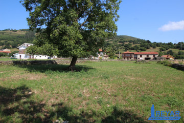 Jardín
