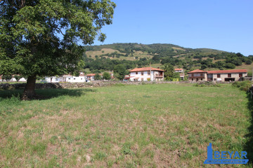 Jardín