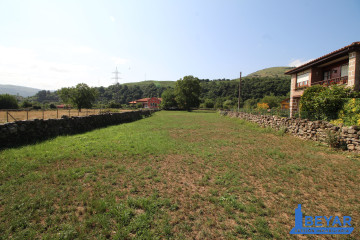 Jardín