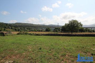 Jardín