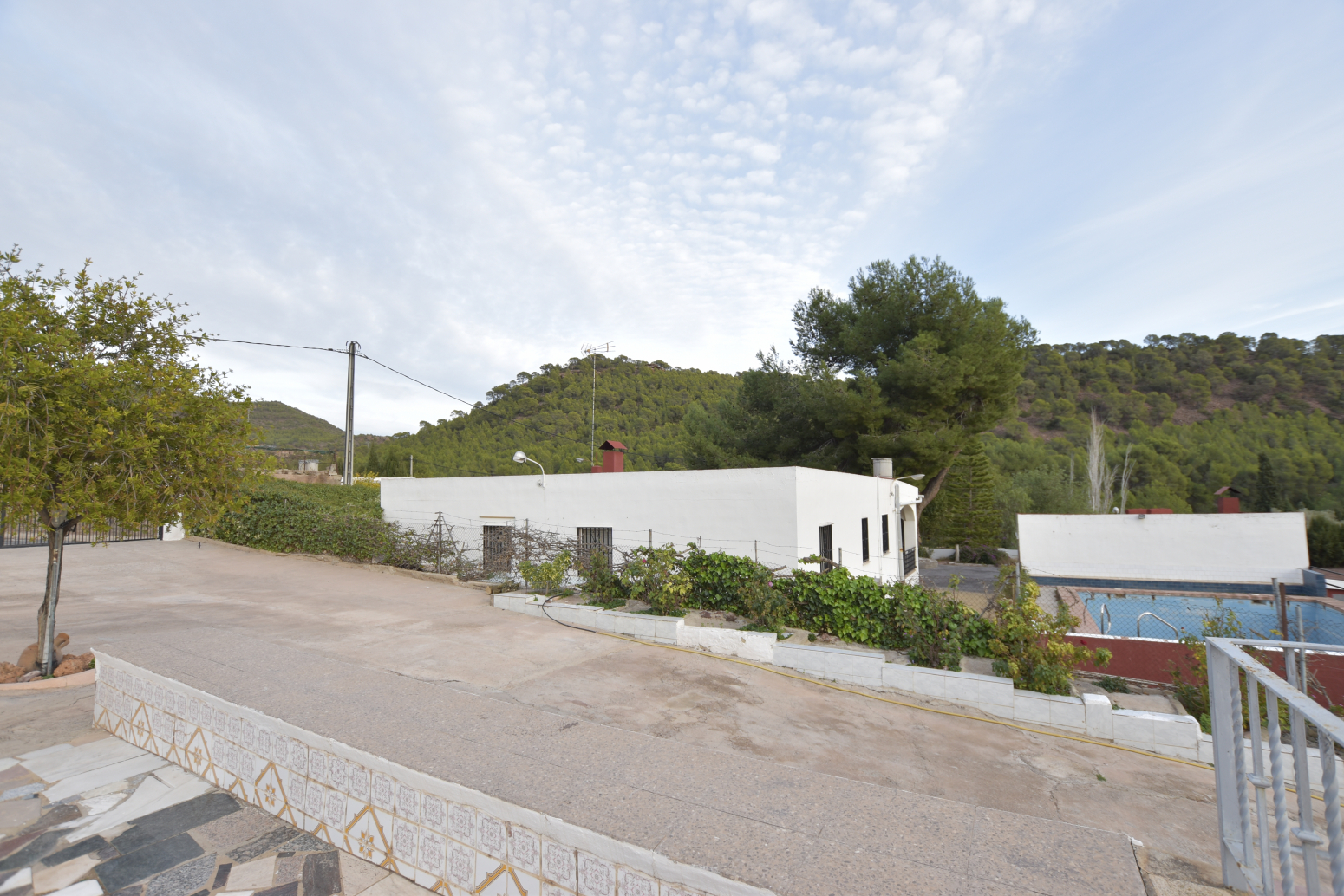 Casas o chalets-Venta-Albalat dels Tarongers-1025291-Foto-34