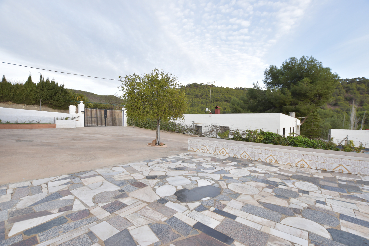 Casas o chalets-Venta-Albalat dels Tarongers-1025291-Foto-46