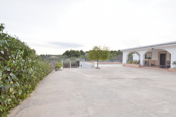 Casas o chalets-Venta-Albalat dels Tarongers-1025291-Foto-2-Carrousel