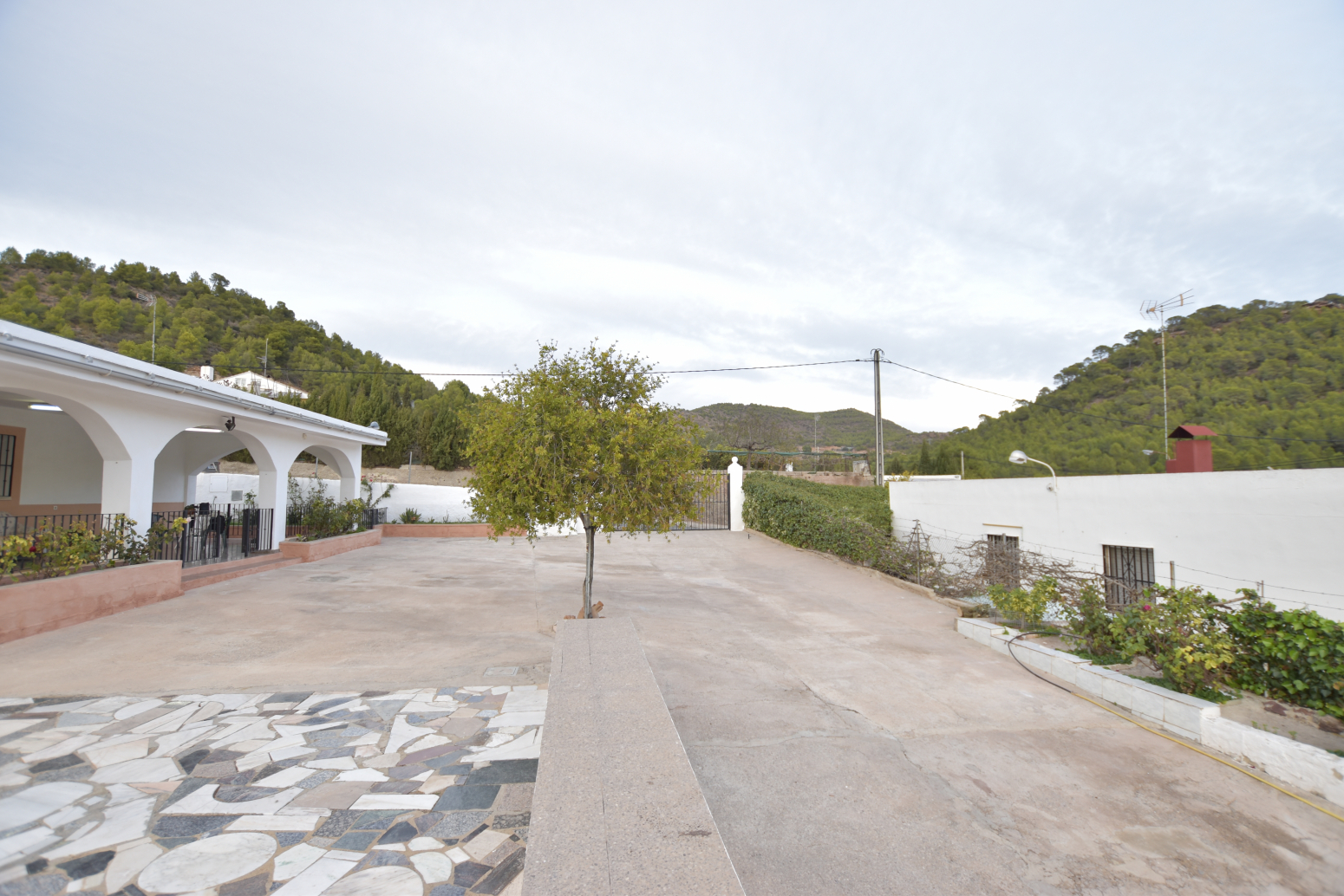 Casas o chalets-Venta-Albalat dels Tarongers-1025291-Foto-12