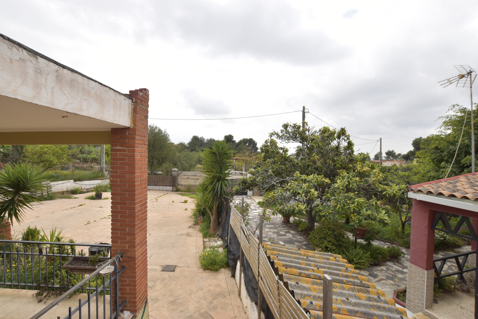Casas o chalets-Venta-Albalat dels Tarongers-1088965-Foto-46